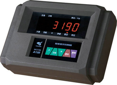 XK3190-A12+ʾǱ